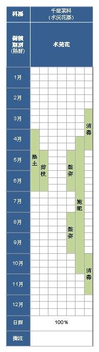 千屈菜科-水沅花屬