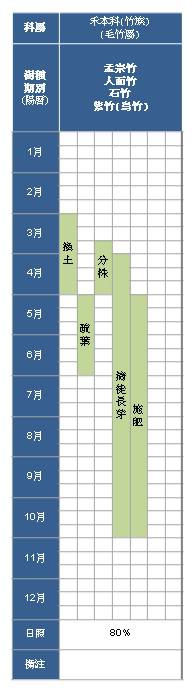 禾本科-毛竹屬