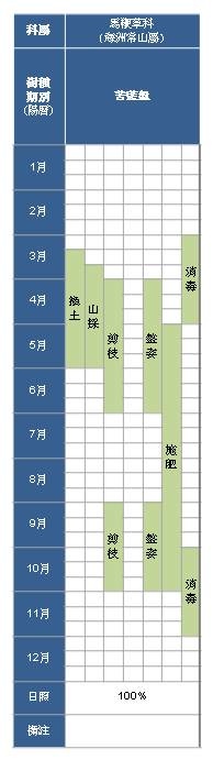 馬鞭草科-海洲常山屬