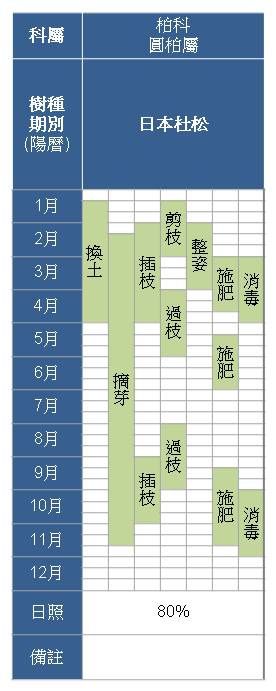 柏科-日本杜松