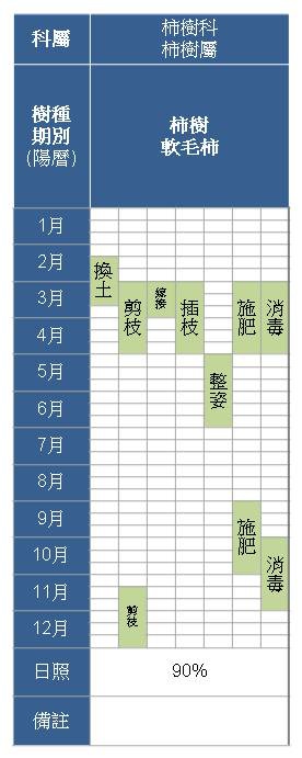 柿樹科-柿樹屬