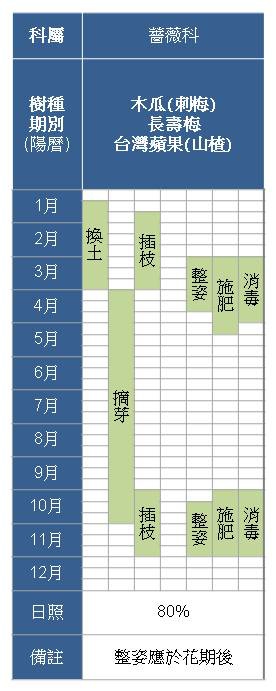 薔薇科-長壽梅