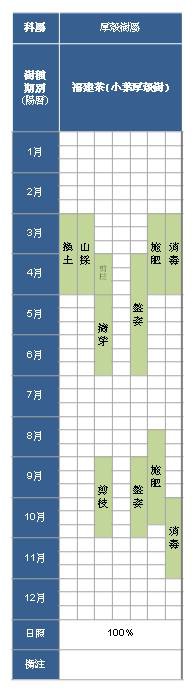 16 福建茶