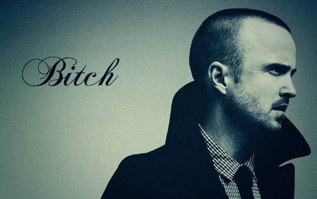 76101-Aaron-Paul-Breaking-Bad-bitch-FZTm.jpeg