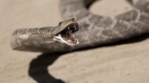 Westworld(10).jpg Westworld(10).jpg