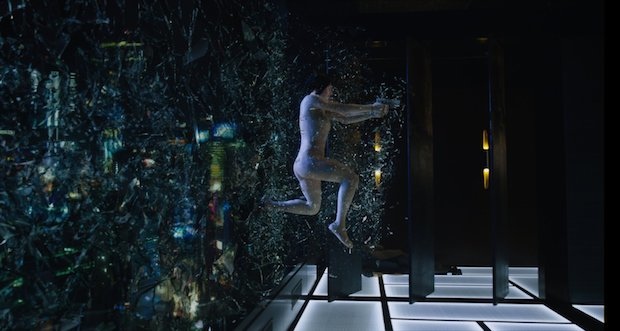 Ghost in the Shell(1).jpg