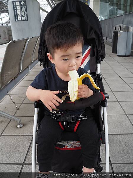 P5070003.JPG P5070003.JPG