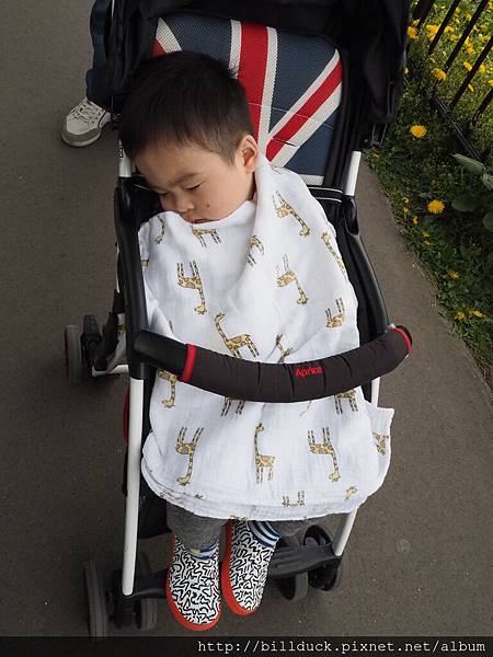 P5090330.JPG P5090330.JPG