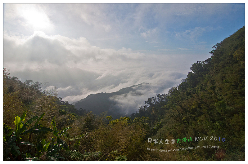 99.11.8大凍山登山-03.jpg