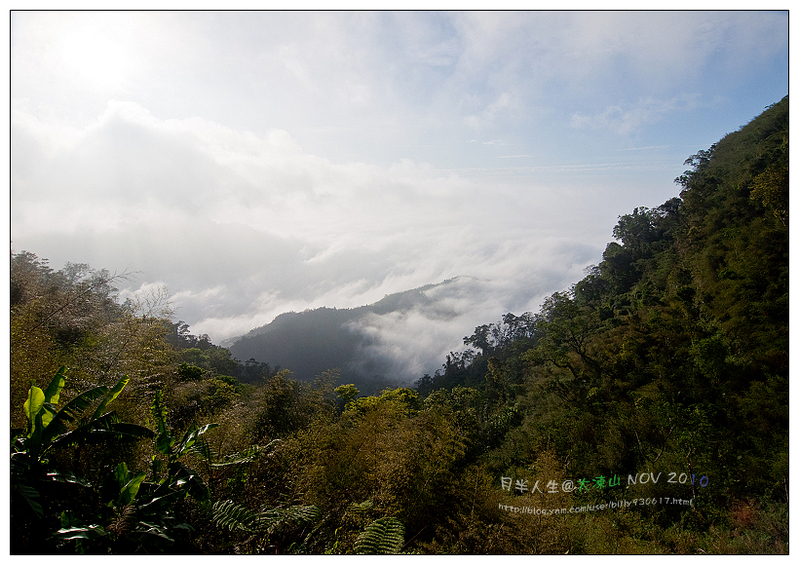 99.11.8大凍山登山-05.jpg