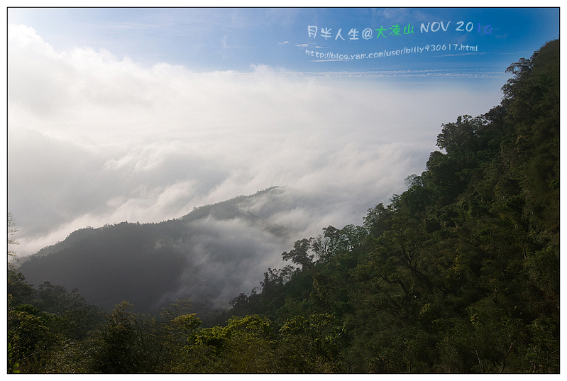 99.11.8大凍山登山-06.jpg