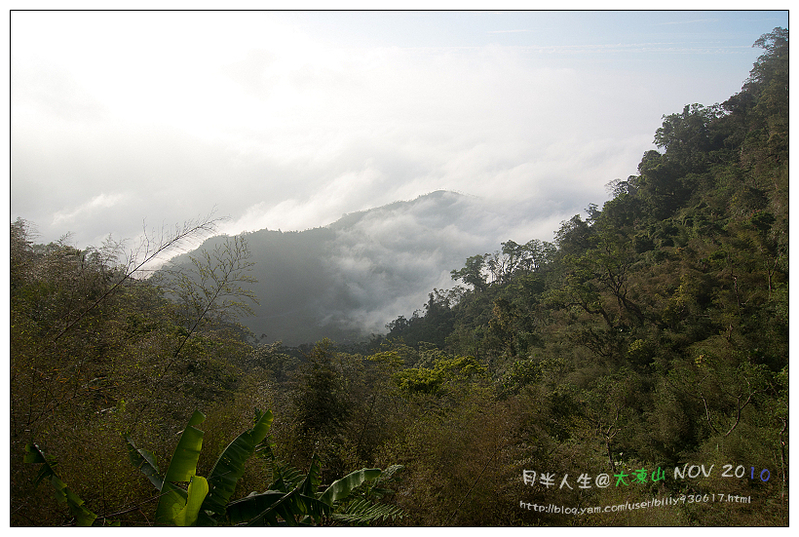 99.11.8大凍山登山-08.jpg