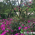 基隆紅淡山023.jpg