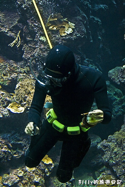 國立海洋生物博物館017.jpg