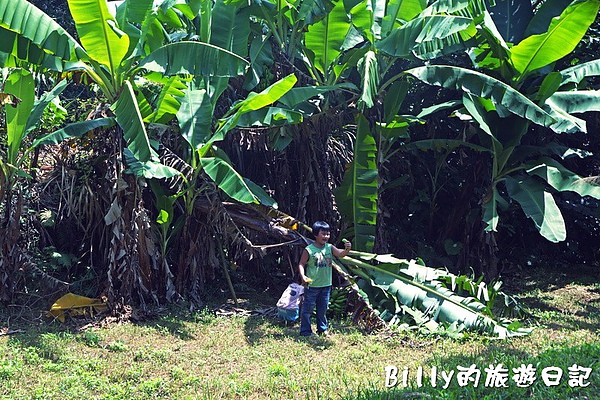 基隆社寮東砲台&頂石閣砲台036.jpg