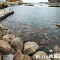 基隆和平島126.JPG