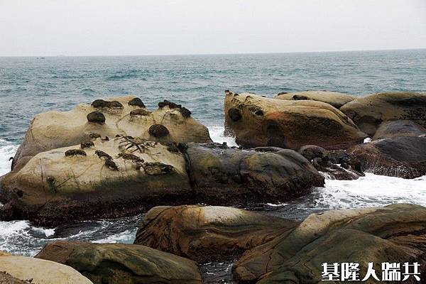 長潭里垃圾掩埋場19.jpg