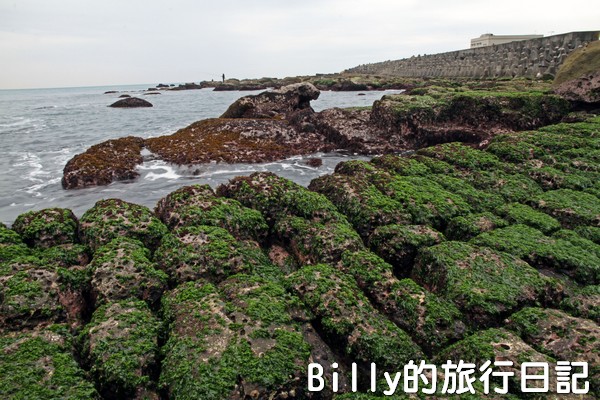 基隆和平島綠魔菇13