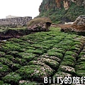 基隆和平島綠魔菇17