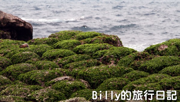 基隆和平島綠魔菇27
