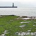 基隆和平島綠藻05.jpg