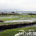 基隆和平島綠藻08.jpg