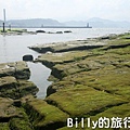 基隆和平島綠藻09.jpg