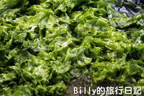 基隆和平島綠藻15.jpg