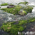 基隆和平島綠藻22.jpg