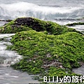 基隆和平島綠藻25.jpg
