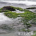 基隆和平島綠藻27.jpg