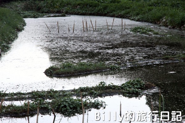 陽明山國家公園 - 二子坪步道022.jpg