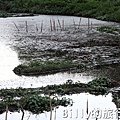 陽明山國家公園 - 二子坪步道022.jpg