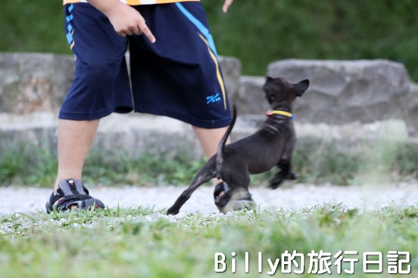 陽明山國家公園 - 二子坪步道026.jpg