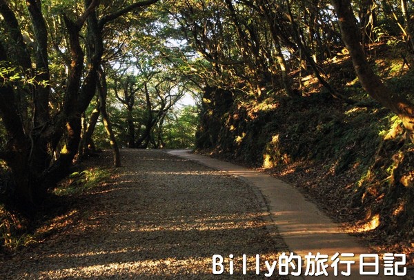 陽明山國家公園 - 二子坪步道030.jpg