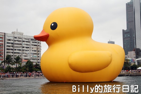 黃色小鴨圖片013.jpg