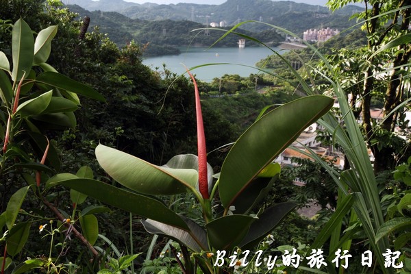 基隆一日遊 - 新山水庫025.jpg