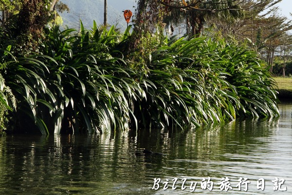 豐之谷自然生態公園 - 花蓮理想大地渡假飯店016.jpg