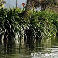 豐之谷自然生態公園 - 花蓮理想大地渡假飯店016.jpg