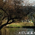 豐之谷自然生態公園 - 花蓮理想大地渡假飯店018.jpg