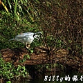 豐之谷自然生態公園 - 花蓮理想大地渡假飯店020.jpg