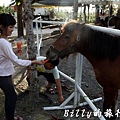 豐之谷自然生態公園 - 花蓮理想大地渡假飯店031.jpg