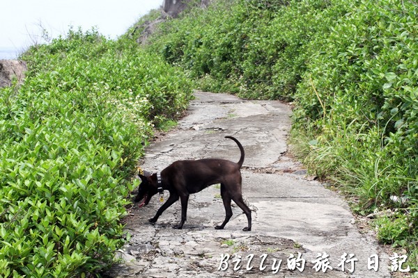 北方三島-花瓶嶼、澎佳嶼、棉花嶼014.jpg