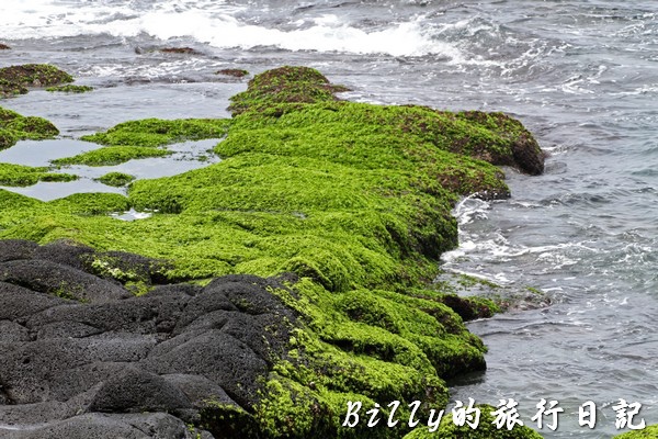 北方三島-花瓶嶼、澎佳嶼、棉花嶼012.jpg