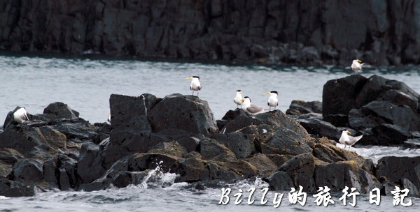 澎湖旅遊 - 晶翔號沙港東海漁夫體驗026.jpg