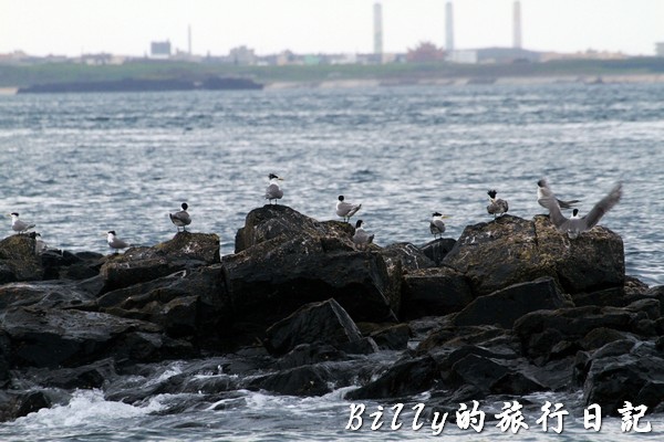 澎湖旅遊 - 晶翔號沙港東海漁夫體驗027.jpg