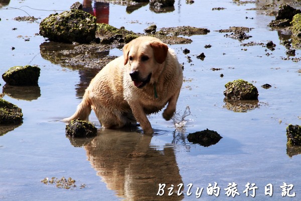 澎湖旅遊 - 晶翔號沙港東海漁夫體驗071.jpg