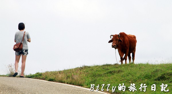 澎湖七美島030.jpg