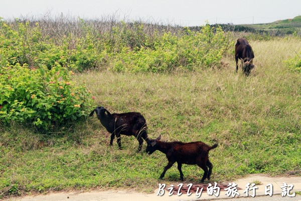 澎湖七美島040.jpg