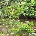 台北市植物園07.jpg